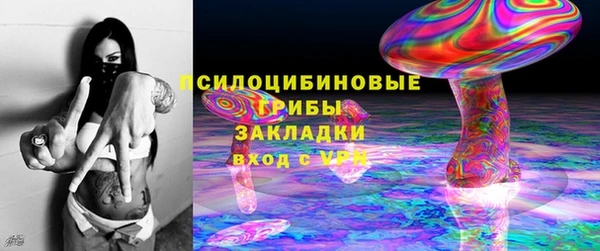 стафф Абинск