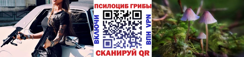 Галлюциногенные грибы Cubensis Пыталово