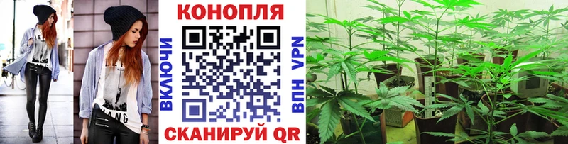 Бошки Шишки конопля Пыталово